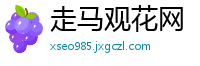 走马观花网